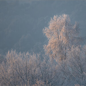 D50_8765-Bearbeitet.jpg