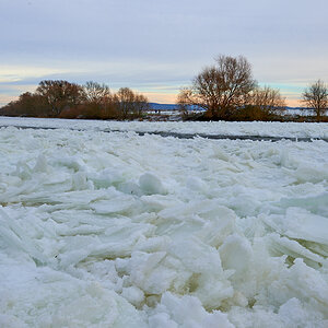 _DSC7177.jpg