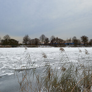 _DSC7188.jpg
