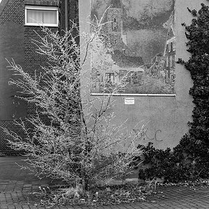 P1230082ASxlSW.jpg