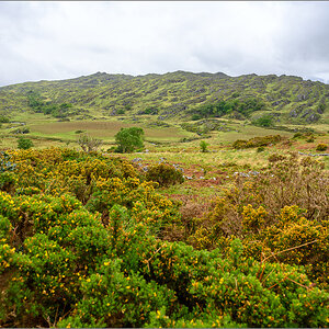 DZ7_4276.jpg