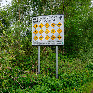 DZ7_4345.jpg