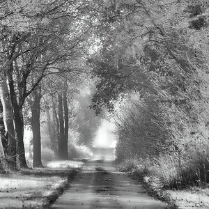 Moorweg 3 BW.jpg