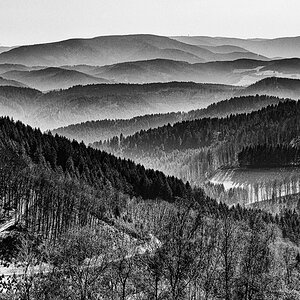 Kinzigtal-März-9878-Bearbeitet-Bearbeitet.jpg