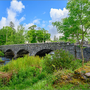 DZ7_4585.jpg