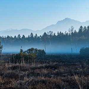 F75_5842-2.jpg