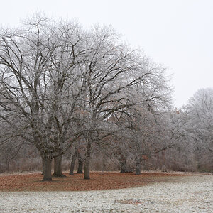 DSC_5466.JPG