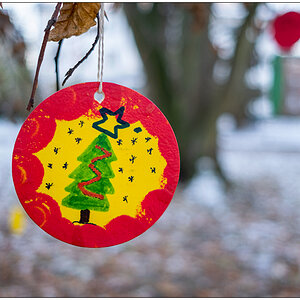 569 Schrevenpark – Wunschbaum Tannenbaum