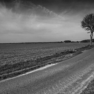 Feldmark 1_BW.jpg