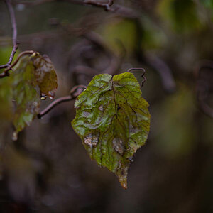 DSC_0861.jpg