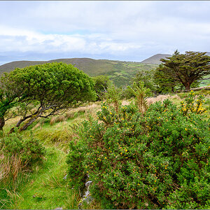 DZ7_4751.jpg