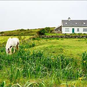 DZ7_4906.jpg