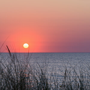 OF2_57457.jpg