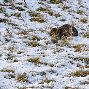 OF2_61342.jpg