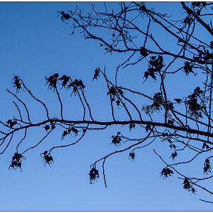 002 Blick nach oben