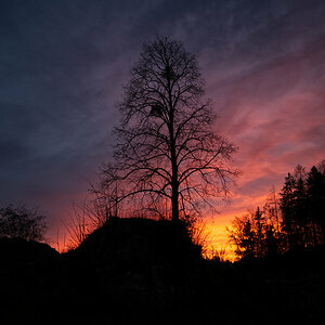 Am Abend