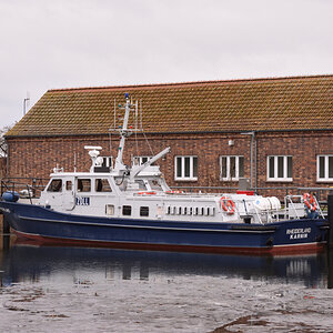 DSC_5557.JPG