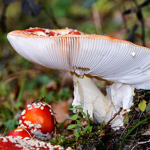 DSC_5140 Kopie.jpg