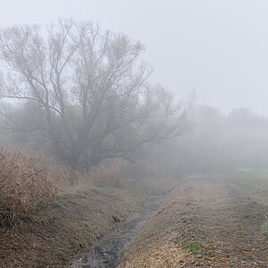 OF2_60700.jpg