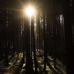 _DSC1161-Bearbeitet.jpg