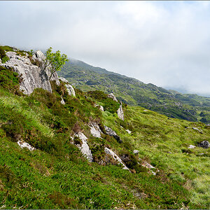 DZ7_5511.jpg