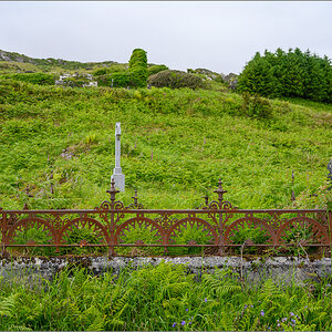 DZ7_5541.jpg
