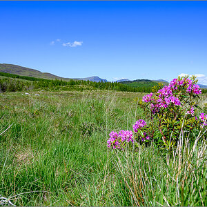 DZ7_5622.jpg