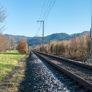 20230107-DSC_8239.jpg