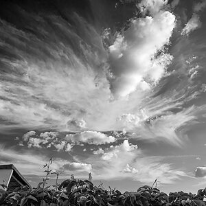 OF2_31621sw.jpg