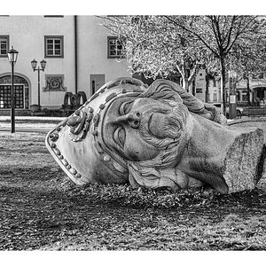 comp_D85_3718-NEF_DxO_DeepPRIME Kopie.jpg