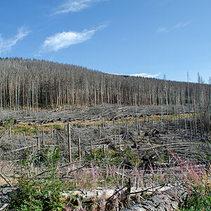 OF-60035.jpg