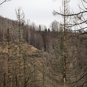 DSC_3108.jpeg