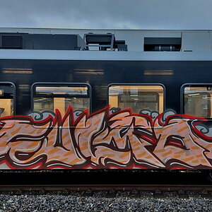 TSF 2023 - 03.jpg