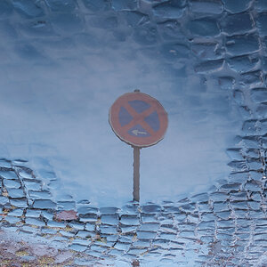 DSCF1823.jpg