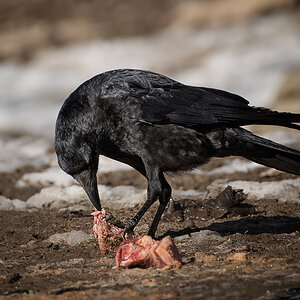 DSC_5405-Bearbeitet-1.jpg
