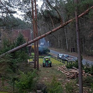 Timber 4.jpg