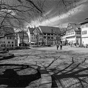 _DS26040.jpg