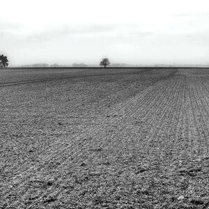 In der Feldmark BW.jpg