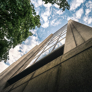 Looking Up