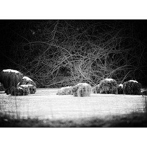 JuraD4F_3651.jpg