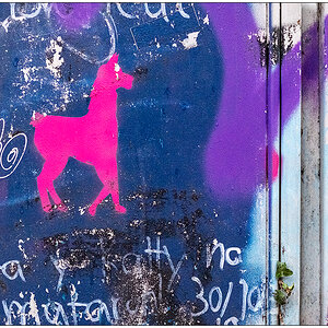 023 Graffiti-Tier