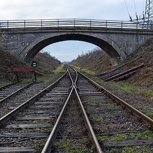 OF2_54573.jpg