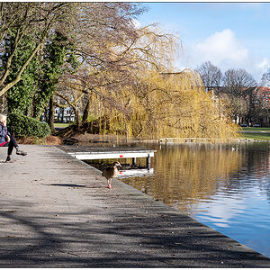 028 Pause im Schrevenpark mit Sonne