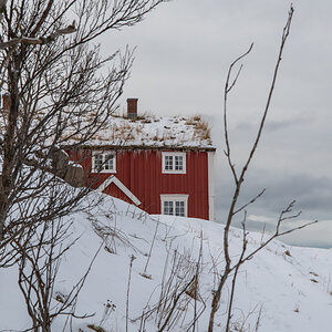 2023 Lofoten-13.jpg