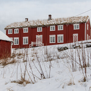 2023 Lofoten-16.jpg