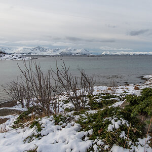 2023 Lofoten-18.jpg