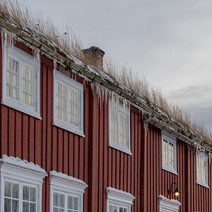 2023 Lofoten-24.jpg