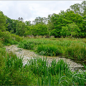 DZ7_6287.jpg