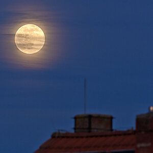 OF5_27210.jpg