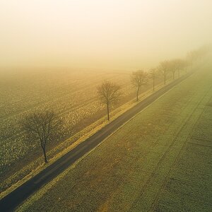DJI_0875-HDR.jpg
